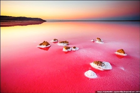 Rực rỡ khu đầm muối tuyệt đẹp ở bán đảo Crimean - 7 Đình Huế